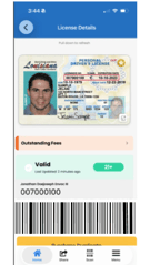 Digital ID Example