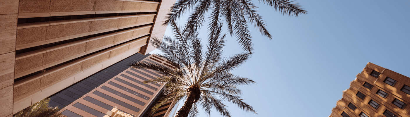 Corporate Palm Trees