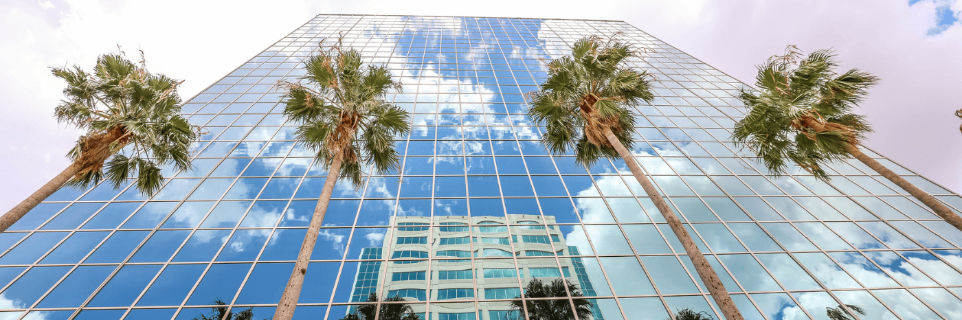 Looking upward at palm trees and a modern tall office building with blue sky and reflections of puffy white clouds in Florida stock photo