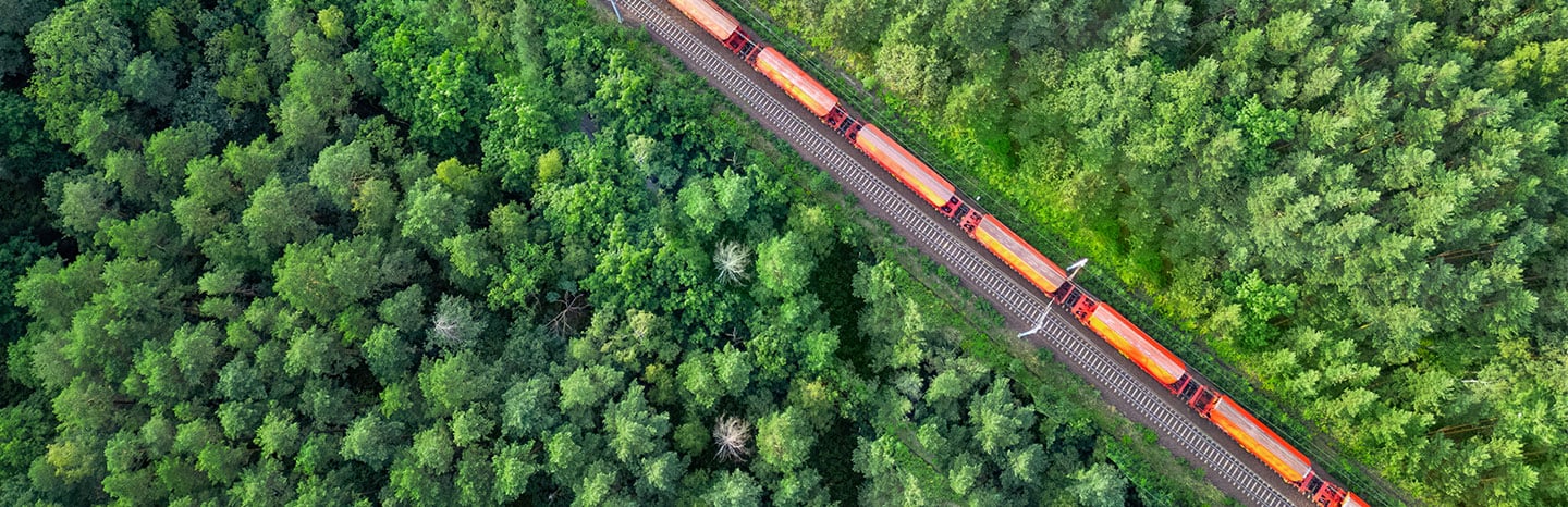 Train Transportation through Forest