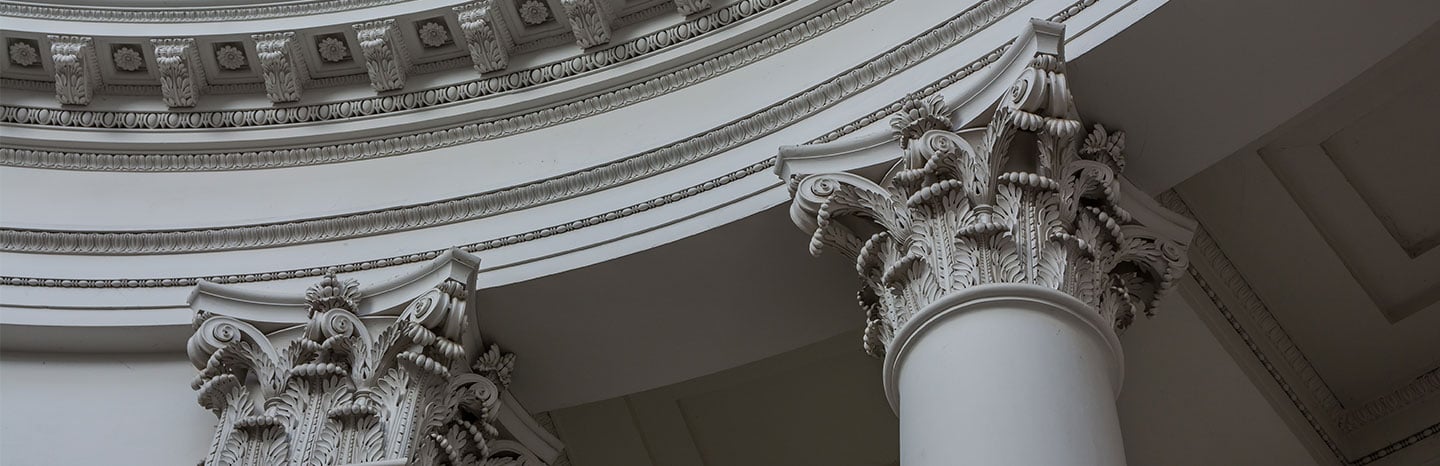 Appellate-Litigation