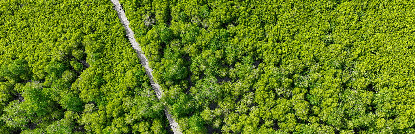  Carbon Sequestration