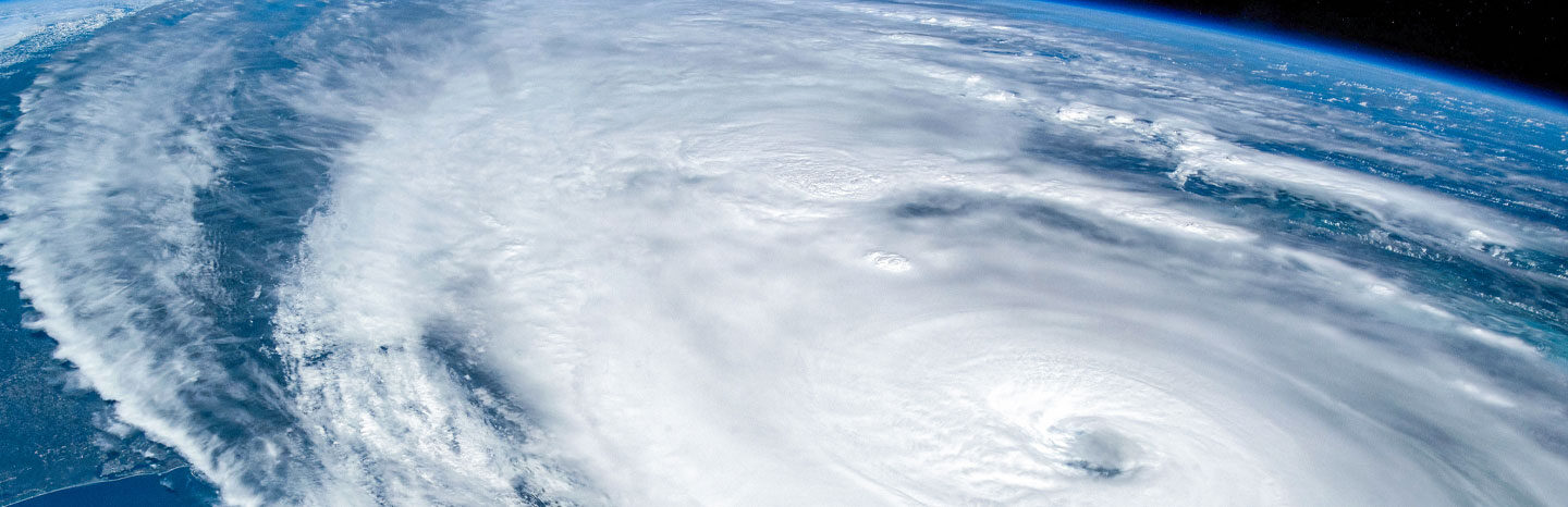 Disaster Preparedness & Response