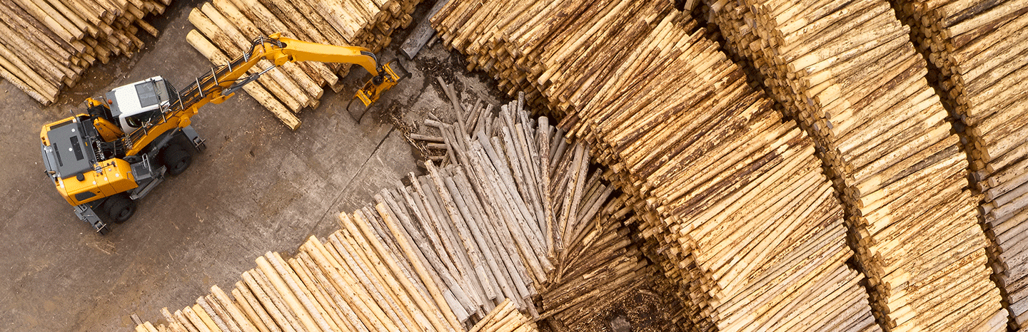 Sawmill Projects